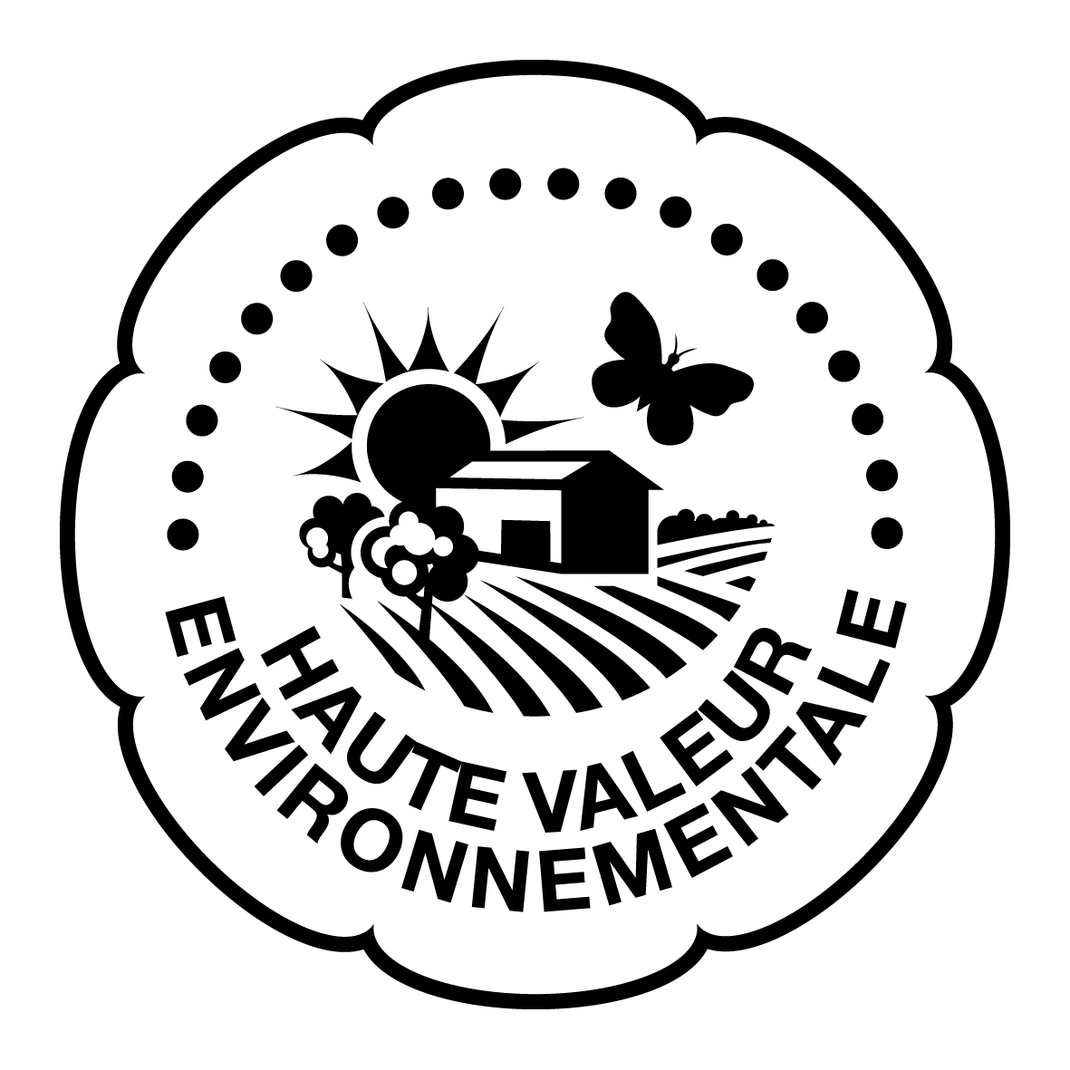 Logo HVE