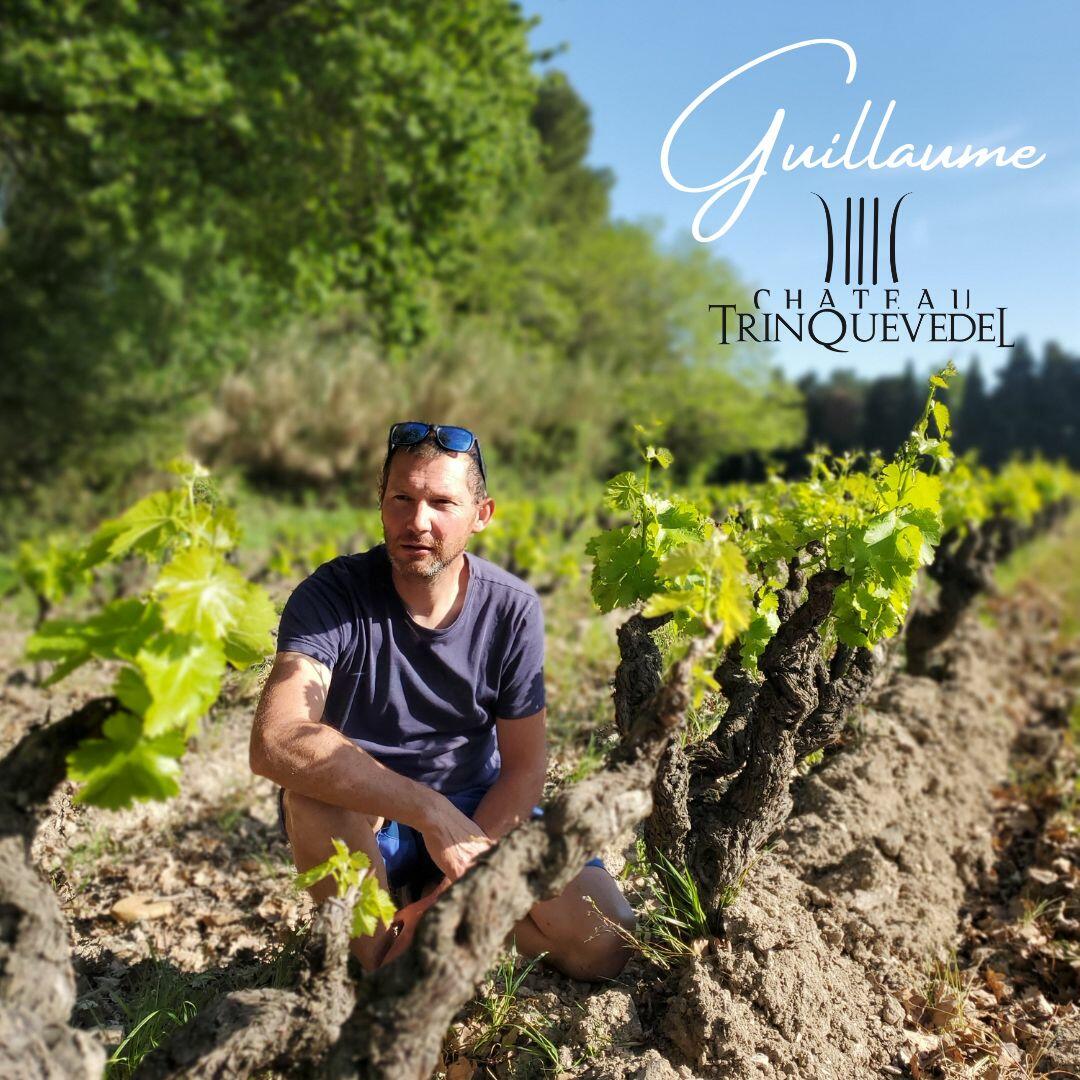 Guillaume DEMOULIN, vigneron de Terroir